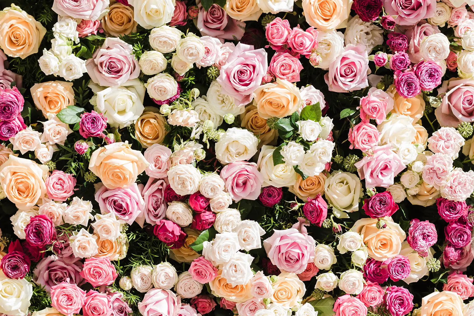 Waxing Services in Conyers Sweet Heart Brazilian Wax