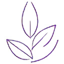 brazilian-sugar-icon